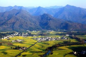 老馬的村 老馬的村