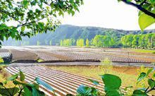 左權[山西省晉中市東南部轄縣]