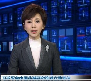 中國非洲研究院 中國非洲研究院