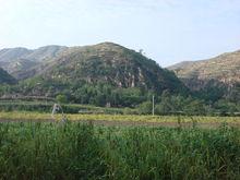 劉李河夏季美景