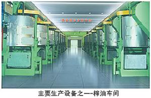 青島長生集團股份有限公司