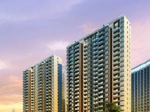 寧波鬱金香中心 寧波鬱金香中心