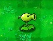 豌豆射手 豌豆射手