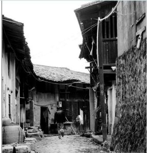 德化上涌杏仁街