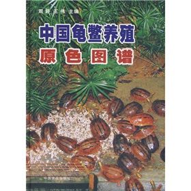 《中國龜鱉養殖原色圖譜》