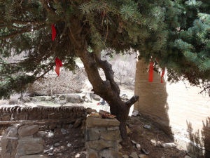 張家口虎窩山 張家口虎窩山