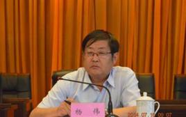 楊偉[甘肅嘉峪關市人大常委會原主任]