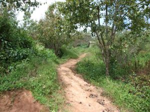 照壁山村 照壁山村