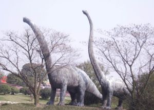 建設馬門溪龍 建設馬門溪龍