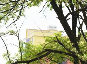 通山縣烈士陵園 通山縣烈士陵園
