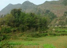 下田壩村[貴州畢節市納雍縣鍋圈岩鄉下田壩村]