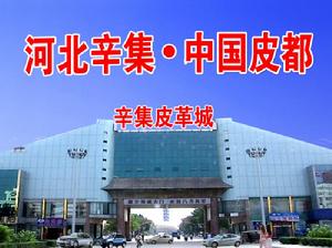 辛集商業城 辛集商業城