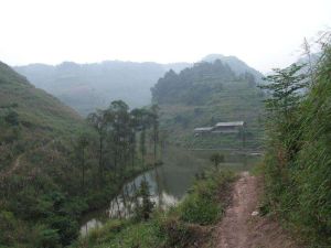 大新田自然村 大新田自然村