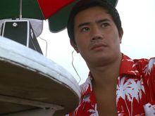 不同時期的諸星團