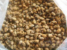 太和豆豉 太和豆豉