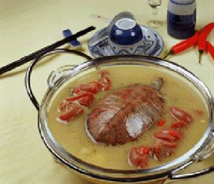 沙鍋枸杞燉龜 沙鍋枸杞燉龜