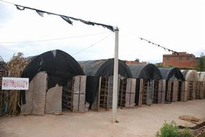 （圖）食用菌示範基地