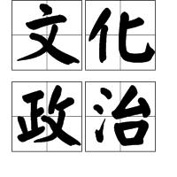 文化政治 文化政治
