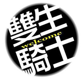 雙生騎士 雙生騎士