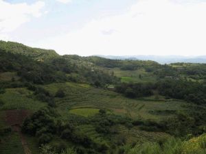 上大七自然村 上大七自然村