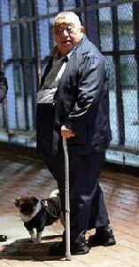 《百變梅花俠》