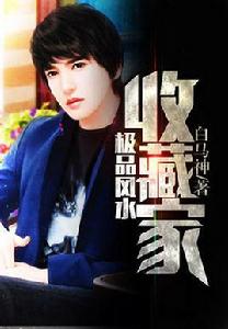 極品風水收藏家 極品風水收藏家