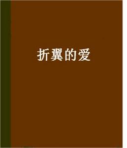 折翼的愛
