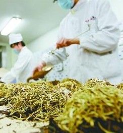 中藥師職稱考試 中藥師職稱考試