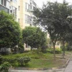 千禧鑫城 千禧鑫城