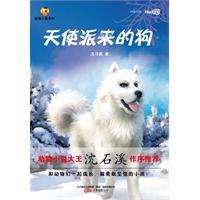 天使派來的狗 天使派來的狗