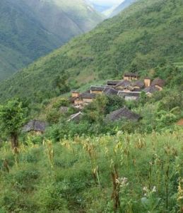 杉松坡村 杉松坡村