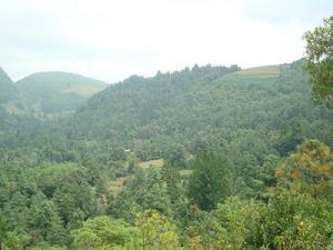 橫巷自然村 橫巷自然村