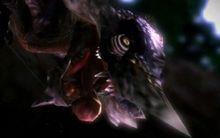 準備捕食的霞龍