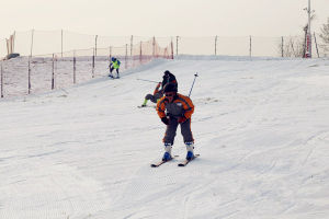 聊城南湖濕地公園