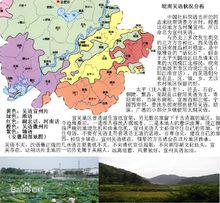 西吳語情況分析