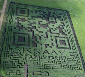 二維碼麥田 二維碼麥田