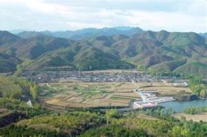 菜食河村 菜食河村