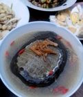 甲魚鵪鶉湯 甲魚鵪鶉湯