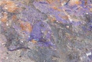 菲利皮泥炭礦床 菲利皮泥炭礦床