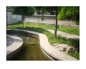 保定市第十七中學