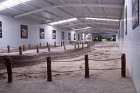 內蒙古自治區博物館恐龍足跡