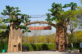 高家莊生態園 高家莊生態園