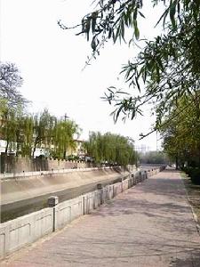 東城桃李 東城桃李