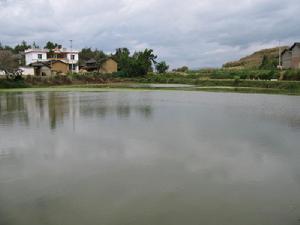 玉龍自然村小水塘