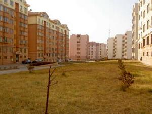 竹苞花園 竹苞花園