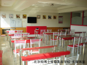 狗博士寵物美容學校 多媒體室