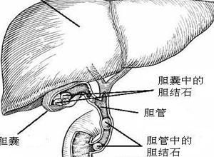 肝功能受損 肝功能受損