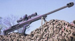 美國M21狙擊步槍