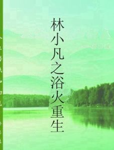 林小凡之浴火重生 林小凡之浴火重生