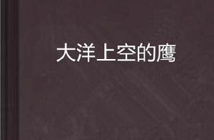 大洋上空的鷹 大洋上空的鷹